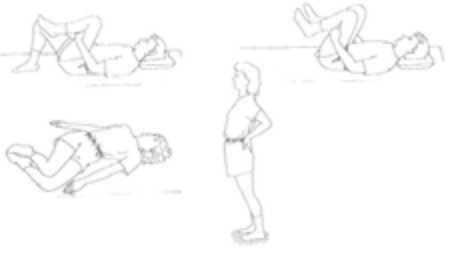 Diagram for low back stretches