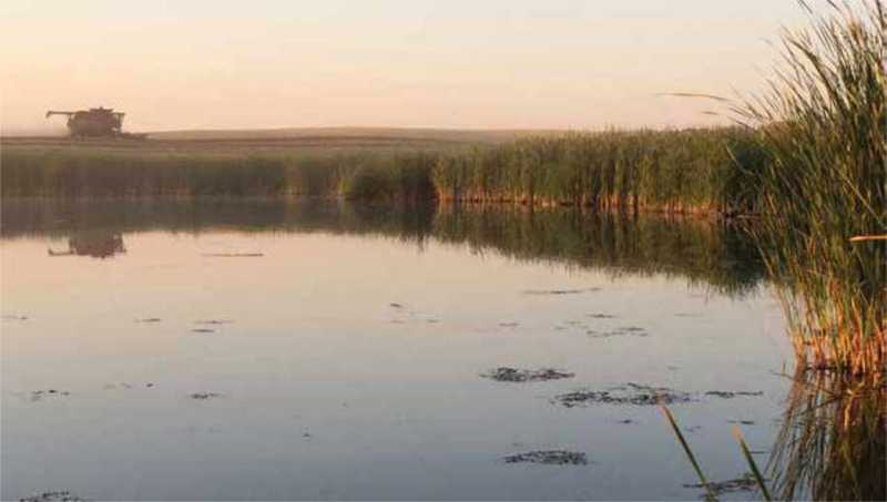 Saskatchewan marsh with a machine in the background