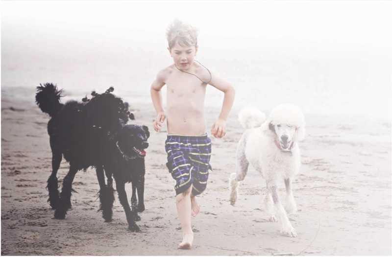 Kid running on beach next to 3 dogs