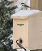 Two song birds on a bird house in winter